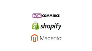 Custom E-Commerce Website Development